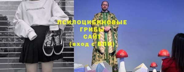 PSILOCYBIN Волосово