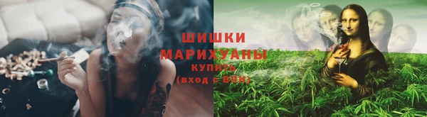 ECSTASY Вяземский