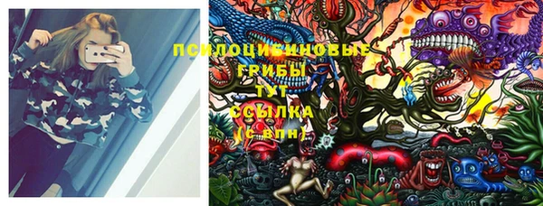 тгк Вязники