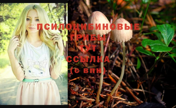 синтетический гашиш Волоколамск