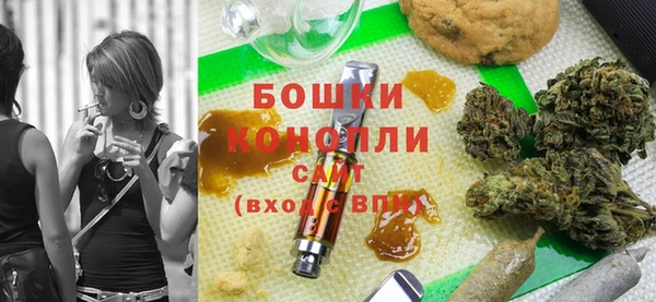PSILOCYBIN Волосово