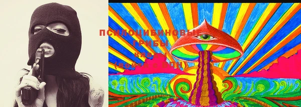ECSTASY Вяземский