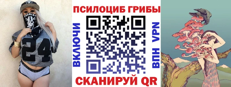 Псилоцибиновые грибы MAGIC MUSHROOMS  Купить закладки  Мезень 